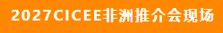 2027CICEE“十国百城千企品牌万里行”登陆非洲(图8) 2027CICEE“十国百城千企品牌万里行”登陆非洲(图8)